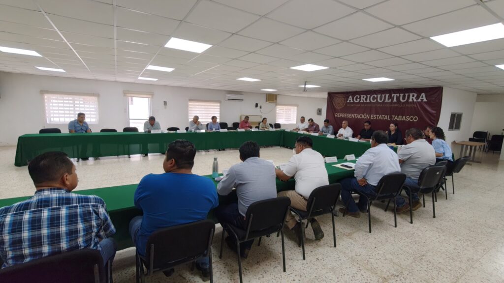Autoridades organizan Muestra del Cebú 2025