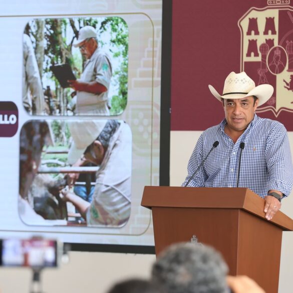 casos de gusano barrenador del ganado en Tabasco