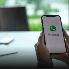 WhatsApp nombre de usuario