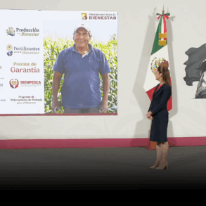 La mañanera Claudia Sheinbaum hoy en Palacio Nacional