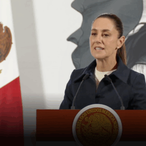 sheinbaum frontera ganado salud anuncio