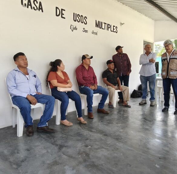 Crédito ganadero en Macuspana