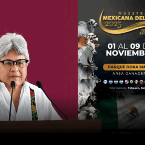 muestra mexicana del cebú Tabasco 2025