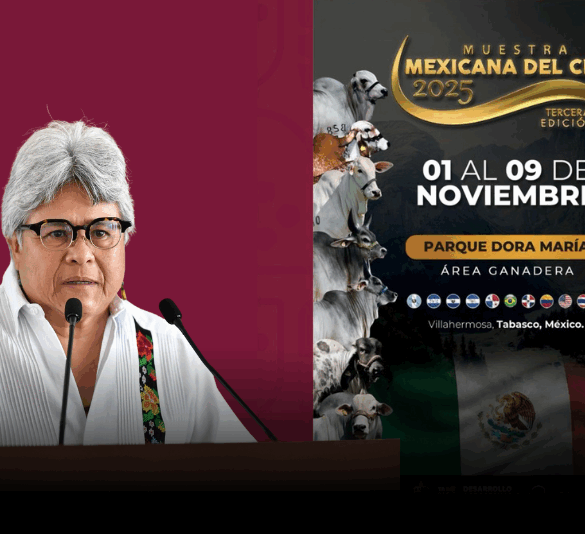 muestra mexicana del cebú Tabasco 2025
