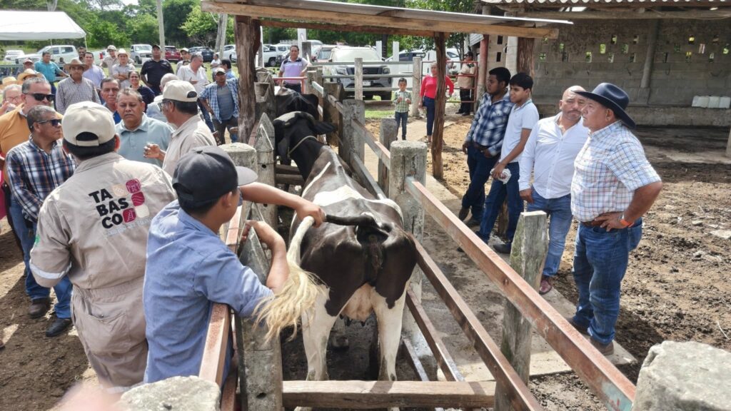 Luisa Cámara refuerza ganadería en Tabasco,