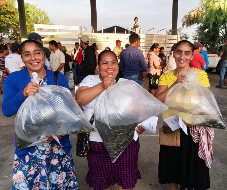 crédito ganadero en tabasco productores