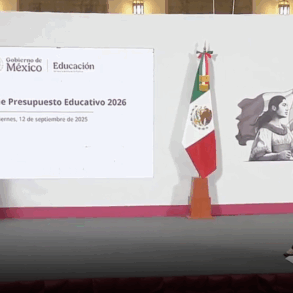 Gráfica del presupuesto de la SEP anunciado en la mañanera 12 de septiembre