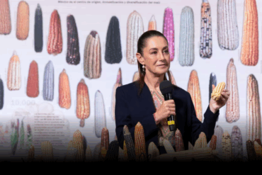 Claudia Sheinbaum en la mañanera hablando sobre seguridad y programas sociales