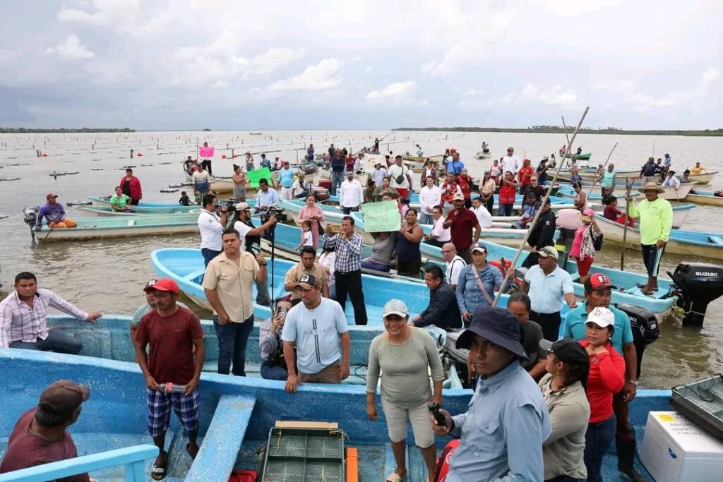 Pescando Vida en Tabasco entrega de semillas de ostión