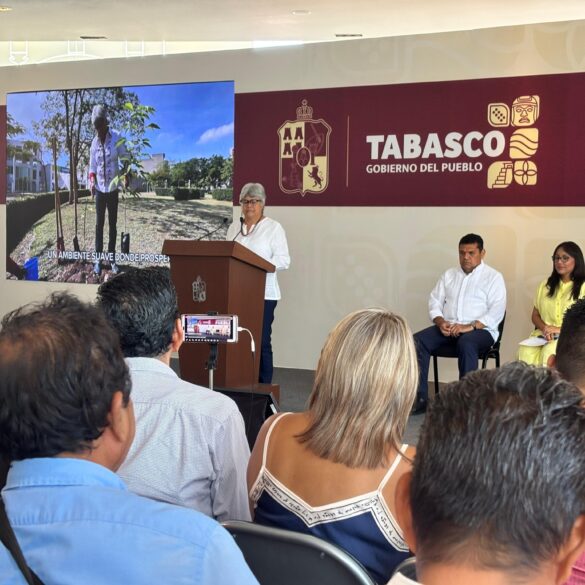 Jornada de reforestación Tabasco 2025