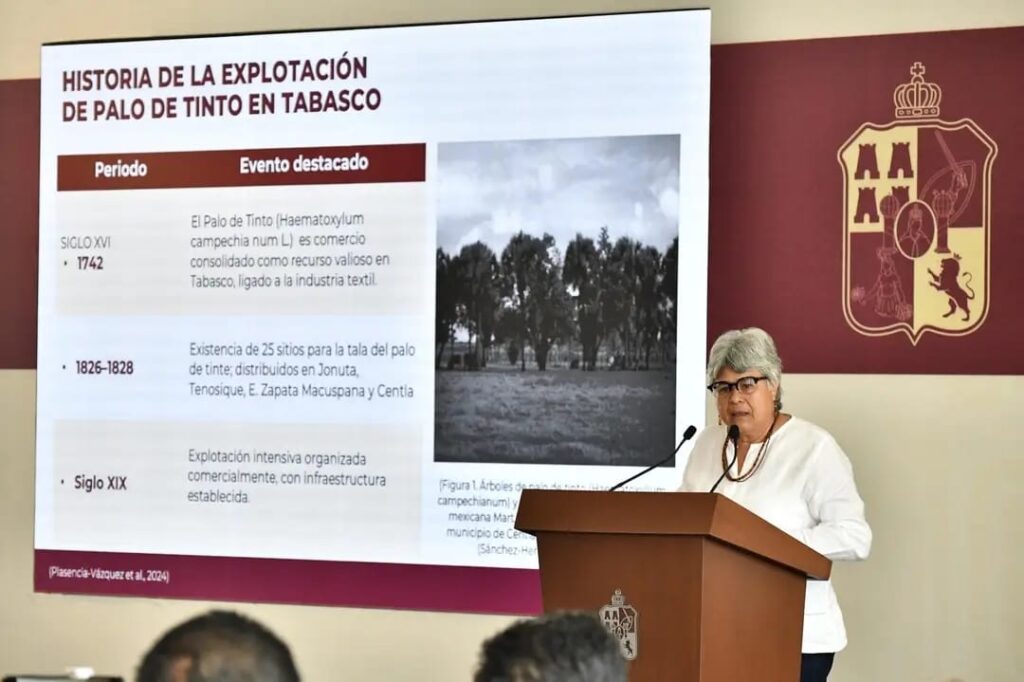 Jornada de reforestación Tabasco 2025