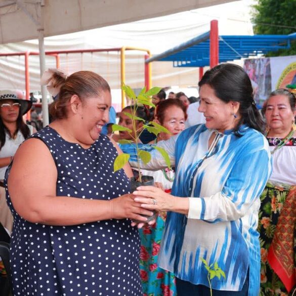 La presidenta municipal de Centro, Yolanda Osuna Huerta, entrega un árbol de macuilís a una vecina durante la jornada del programa Centro +Cerca en la colonia Municipal.