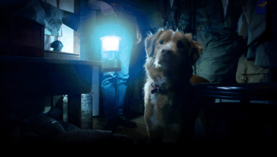 Promocional de la película de terror Good Boy: Confía en su Instinto con el perro Indy.