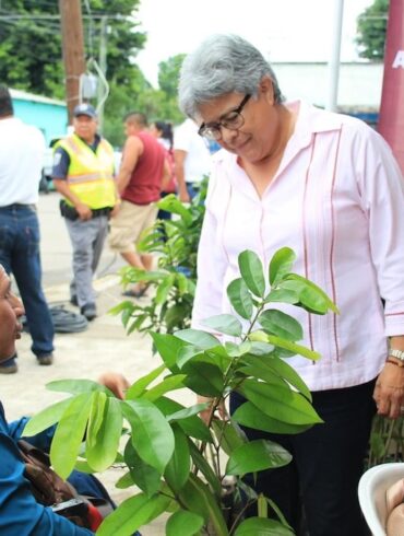 Participación ciudadana en la Gran Jornada de Reforestación en Tabasco