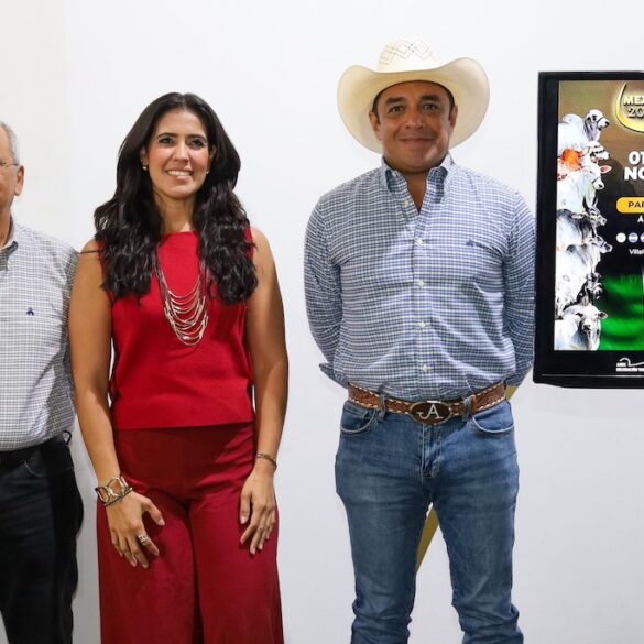Alistando la exhibición ganadera en la Muestra Mexicana del Cebú en Tabasco 2025