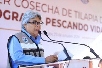 Pescadoras de Tabasco cosechan tilapia del programa Pescando Vida