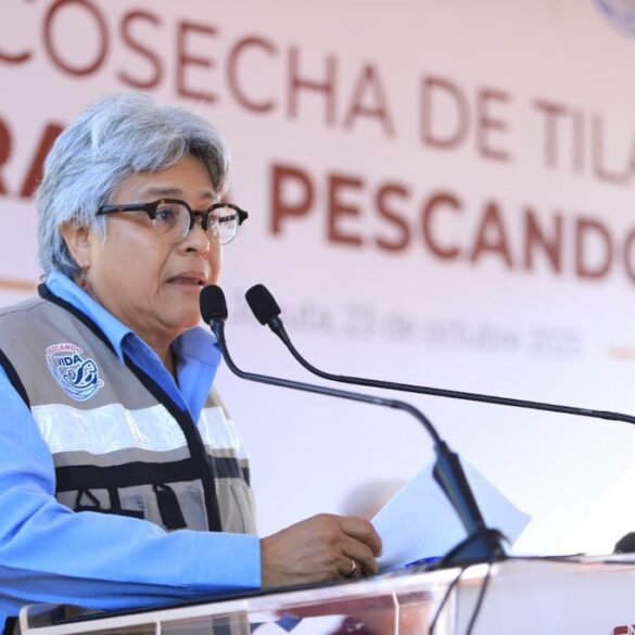 Pescadoras de Tabasco cosechan tilapia del programa Pescando Vida