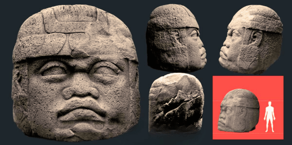 Imágenes de una cabeza colosal olmeca desde distintos ángulos, mostrando su frontal, perfiles laterales, parte posterior y una escala comparativa con la figura humana.