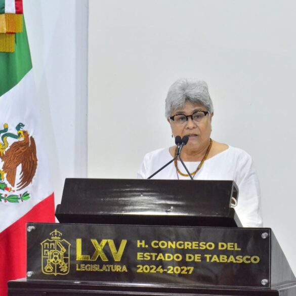 Luisa del Carmen Cámara Cabrales expone ante el Congreso durante la glosa del Informe 2025