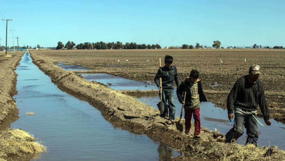 Campesinos caminan junto a canal de riego en campo seco con escasez hídrica.