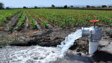 Pozo agrícola bombea gran cantidad de agua para riego en cultivo de maíz.