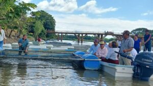 Supervisión de jaulas flotantes del programa Pescando Vida en Tabasco