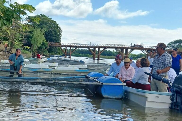 Supervisión de jaulas flotantes del programa Pescando Vida en Tabasco
