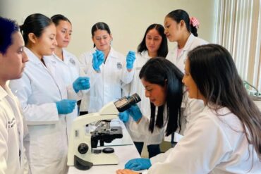 innovación en la UJAT sobre conexión intestino-cerebro