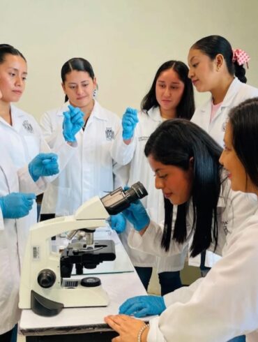 innovación en la UJAT sobre conexión intestino-cerebro