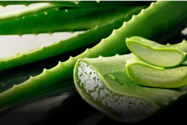 Gel de sábila para el cabello en invierno