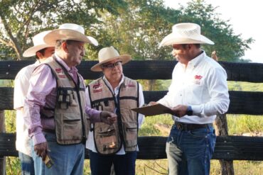 Funcionarios de SEDAP realizan diagnóstico de preñez a ganado del programa Crédito Ganadero a la Palabra en Macuspana.