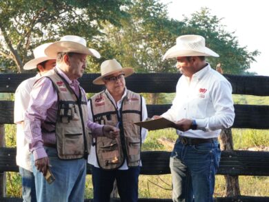 Funcionarios de SEDAP realizan diagnóstico de preñez a ganado del programa Crédito Ganadero a la Palabra en Macuspana.