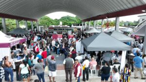 Vista aérea de la Jornada de Atención al Pueblo en el poblado Ignacio Zaragoza, Centla, donde cientos de habitantes reciben servicios, trámites y orientaciones bajo la estructura del domo comunitario.