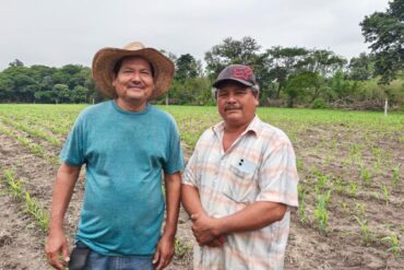 Productores tabasqueños posan en una parcela de maíz recién sembrada, beneficiada por el programa de riego suplementario instalado para enfrentar la sequía.