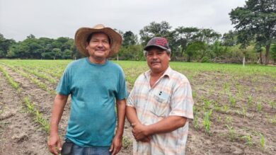 Productores tabasqueños posan en una parcela de maíz recién sembrada, beneficiada por el programa de riego suplementario instalado para enfrentar la sequía.