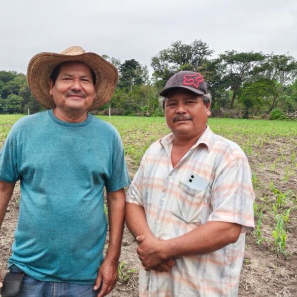 Productores tabasqueños posan en una parcela de maíz recién sembrada, beneficiada por el programa de riego suplementario instalado para enfrentar la sequía.