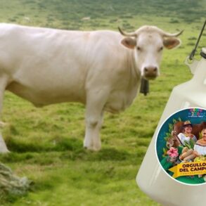 Productores tabasqueños de cacao, ganado y productos pesqueros son invitados a la convocatoria de la SEDAP.