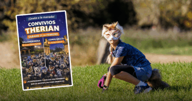 Personas identificadas como therians conviviendo en un parque público de Villahermosa durante un encuentro masivo.