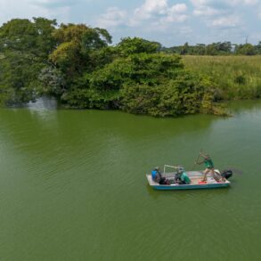 Investigadores de la UJAT realizando monitoreo de manatíes en los humedales de Tabasco con tecnología de sonar.
