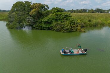 Investigadores de la UJAT realizando monitoreo de manatíes en los humedales de Tabasco con tecnología de sonar.