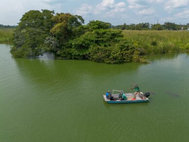 Investigadores de la UJAT realizando monitoreo de manatíes en los humedales de Tabasco con tecnología de sonar.