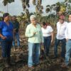 Secretaria Luisa Cámara Cabrales supervisando equipo de riego por aspersión en un cultivo de maíz en Balancán, Tabasco.