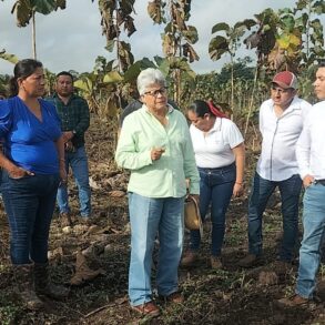 Secretaria Luisa Cámara Cabrales supervisando equipo de riego por aspersión en un cultivo de maíz en Balancán, Tabasco.