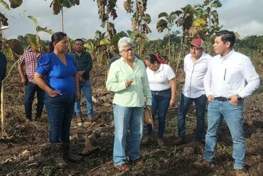 Secretaria Luisa Cámara Cabrales supervisando equipo de riego por aspersión en un cultivo de maíz en Balancán, Tabasco.