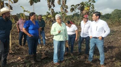 Secretaria Luisa Cámara Cabrales supervisando equipo de riego por aspersión en un cultivo de maíz en Balancán, Tabasco.