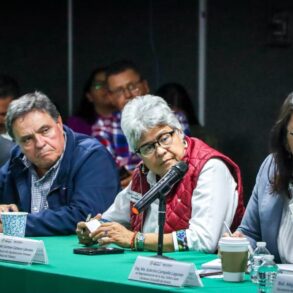 Luisa del Carmen Cámara Cabrales en reunión de trabajo con SADER para impulsar el campo de Tabasco.