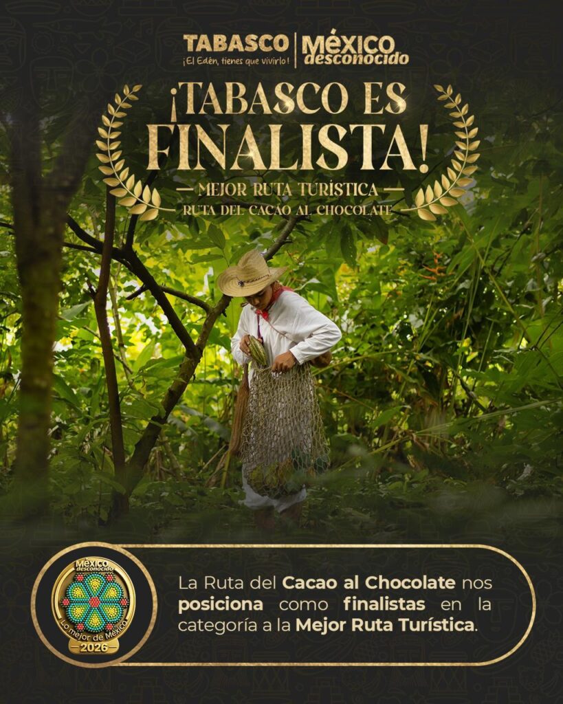 Productor recolecta cacao en plantación de Tabasco durante anuncio de la Ruta del Cacao al Chocolate como finalista en premios Lo Mejor de México 2026.