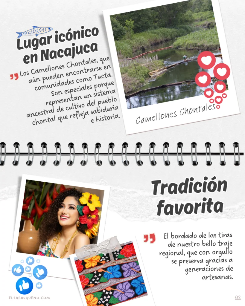 Camellones chontales en Nacajuca tradición ancestral Tabasco