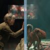 Netflix con los estrenos destacados de series y películas para mayo de 2026 en México. Llega la cinta Criaturas luminosas.