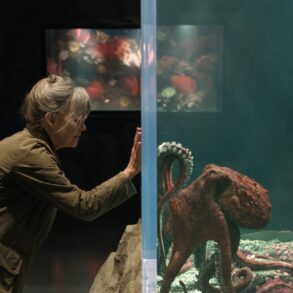 Netflix con los estrenos destacados de series y películas para mayo de 2026 en México. Llega la cinta Criaturas luminosas.